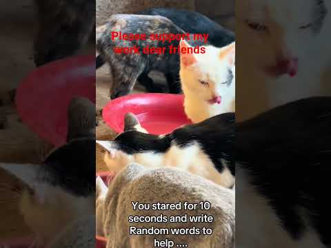 #helpmeplease please donate to support my work