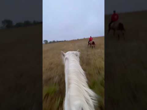 A fun bareback ride on whisper!! 😍 #mustanghorse #equestrian