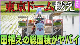 【限界田植え】ゴミ袋女、1190箱の稲を植える【ピキハイ米】