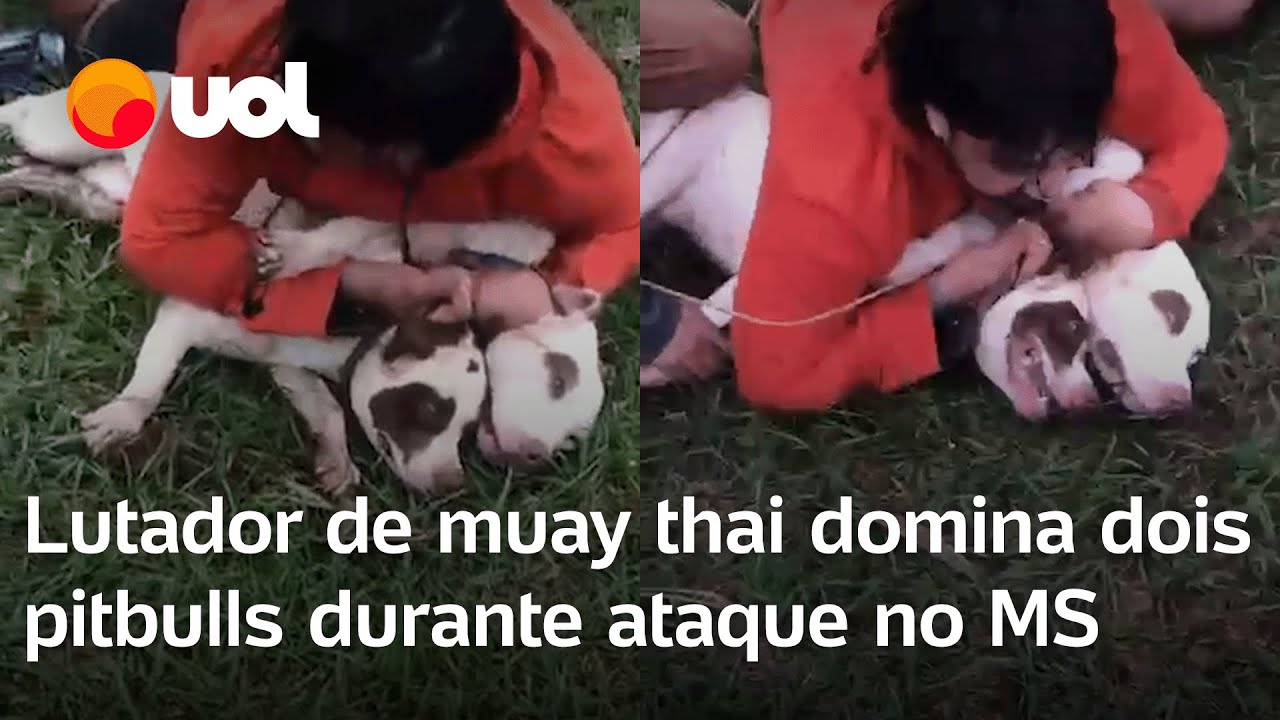 Lutador de muay thai contém dois pitbulls em ataque no MS