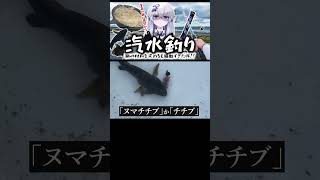 【極寒】暴風の中で汽水釣りで思いがけない獲物が…！？ #shorts