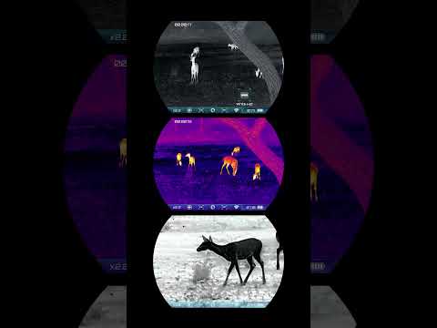 RIX Optics: TITAN T6