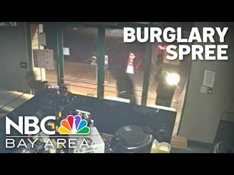 At least 11 businesses were burglarized in Danville