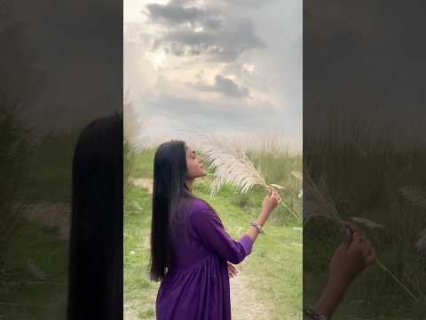 🪷❤️#ytshorts #song #viral #durgapuja #explore #shorts