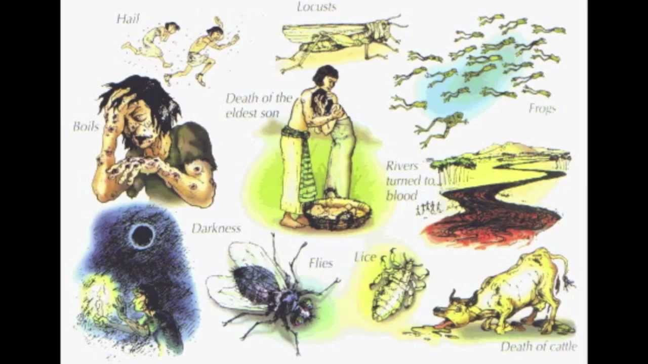 the-ten-plagues-of-egypt-part-1-youtube