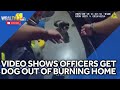 Video shows officers save dog from burning home