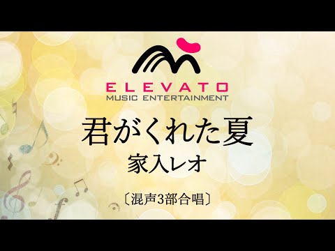 君がくれた夏 / 家入レオ