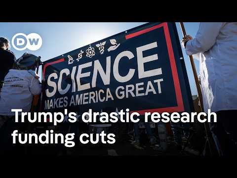 US cuts in science and research spark fears of far-reaching damage | DW News