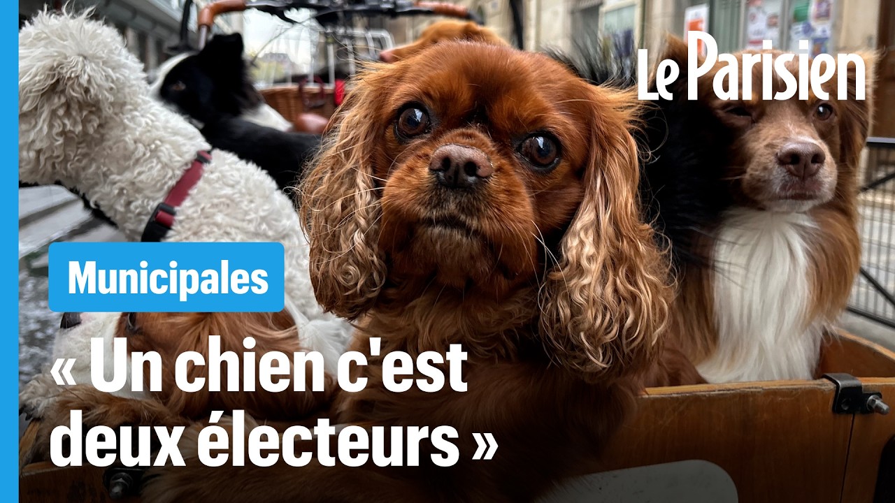 À Paris, la place du chien divise depuis 40 ans