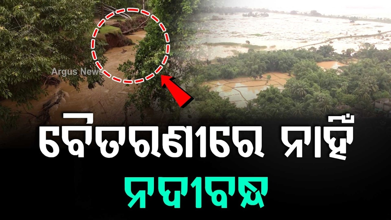 No Embankment, No Relief: 40 Villages Submerged as Baitarani River Floods Jajpur-Keonjhar Border