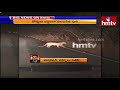 Tiger spotted on Srisailam ghat road to travellers, caught on camera