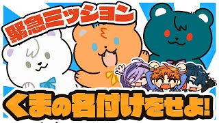 緊急ミッション！くまの名付けをせよ【 #さんくま & #3SKM / 切り抜き】