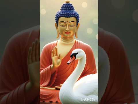 बुद्ध ने हंस को बचाया कैसे? #buddha #ai #viral #trending