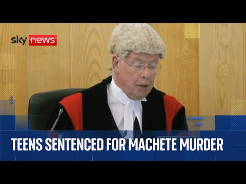 Two teenagers sentenced to at least 15 years for machete murder of boy, 14, on London bus