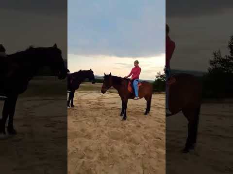 15 червня 2025 р.