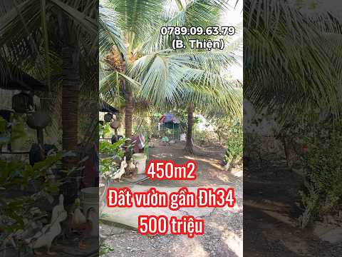 MAP ĐẤT VIỆT - MAPDATVIET.COM Đất vườn 300m2 thổ giá rẻ gần vành đai Đồng Tâm #datgiare #videoshort