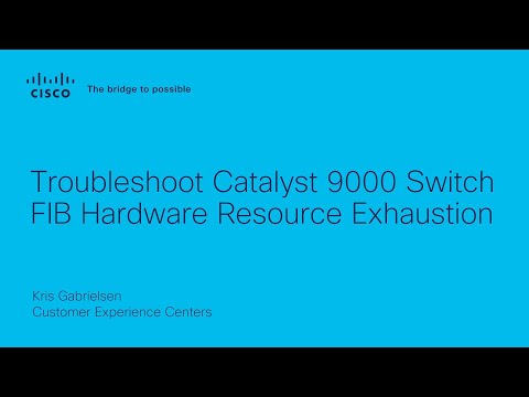 Troubleshoot Catalyst 9000 Switch FIB Hardware Resource Exhaustion