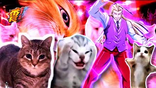ミーム・ダンシングwith猫【猫ミーム×番長×音MAD】