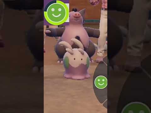 thumbnail_hbrwgPg2jrk