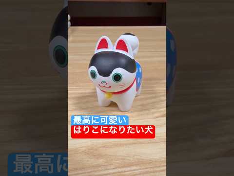 thumbnail_hc499XJsIdc