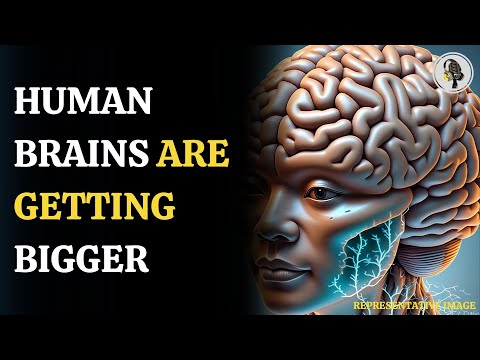 The Growing Human Brain: A Key to Better Brain Health | WION Podcast