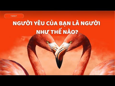 NGƯỜI YÊU CỦA BẠN LÀ NGƯỜI NHƯ THẾ NÀO?