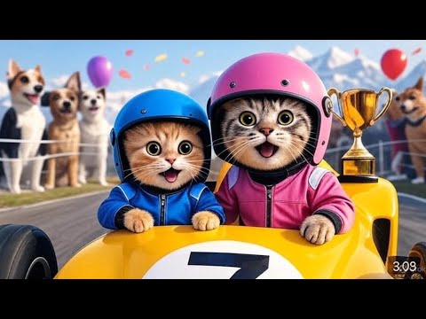 Snow Mountain Cat Race! 🏁❄️#usacats