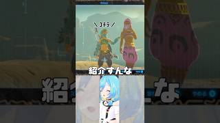 【ブレワイ】初めての女装リンク【Switch 2 Edition】 #shorts #vtuber #ゼルダの伝説ブレスオブザワイルド  #