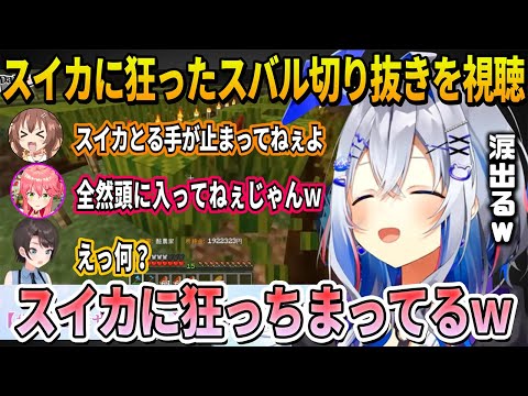 【ホロ金策サバイバル】スイカバブルで友情より金を選び悲しき獣となったスバル切り抜き見た天音かなたの反応【ホロライブ切り抜き】