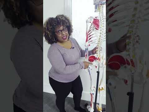 This Forgotten Muscle Fixes Hip Pain