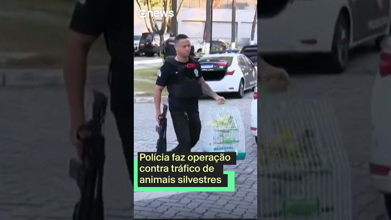 Polícia faz operação contra tráfico de animais silvestres