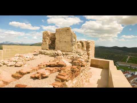 Property video