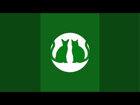 三井アウトレットパーク多摩南大沢ポップアップ2日目