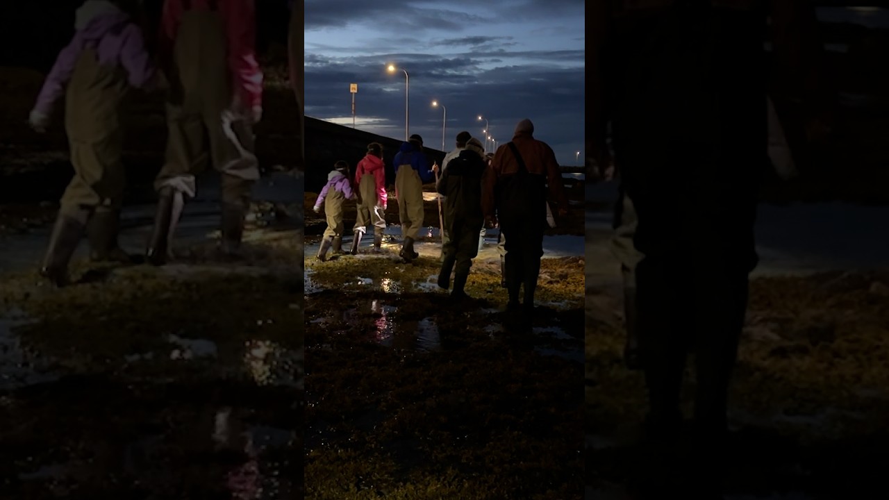 Que se passe-t-il sous l’eau la nuit?