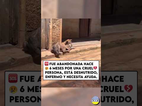 Necesita ayuda😢💔