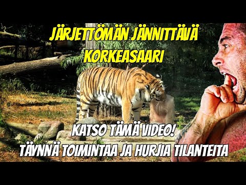 JÄRJETTÖMÄN JÄNNITTÄVÄ KORKEASAARI!