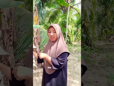 sepeda abil jalan sendiri #comedy #shorts #funny