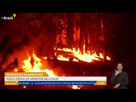 Incêndios no Chile deixam 28 mortos