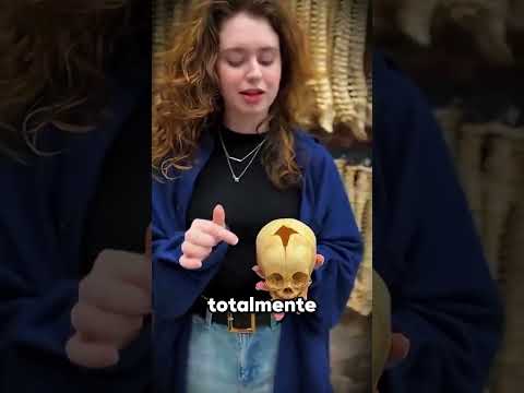 Nunca cometa esse erro