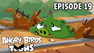 Angry Birds Toons - S3 EP19 - Krtky a pecilny