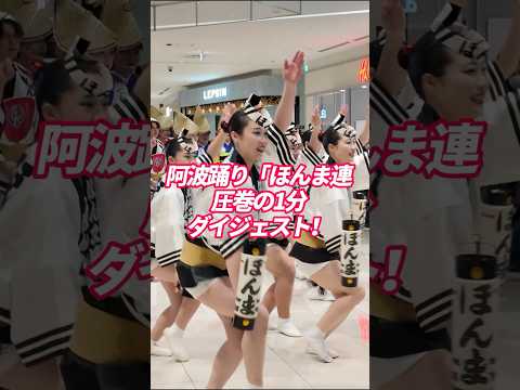 【阿波踊り】2026年新春初踊り!「ほんま連」圧巻の演舞ダイジェスト