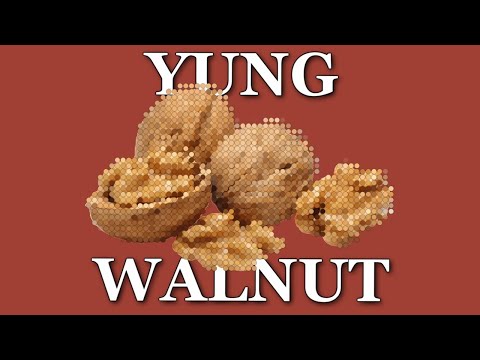 yung walnut - LEAKED ALABAMA BEANS TRACK (ft. alabama beans)