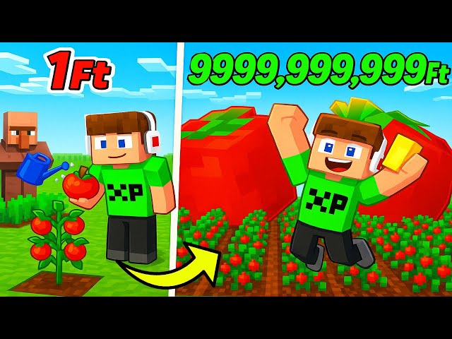 SZEGÉNY KERTTŐL A GAZDAG KERTIG A MINECRAFT-BAN! 😱