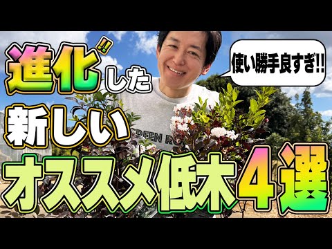【知らないと損】進化した低木で更にお庭で植えやすくなりました。