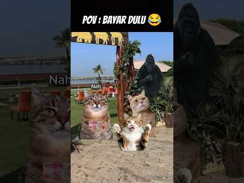 Pov : Bayar Dulu Baru Masuk 😂 #meme #cat #kucing #animation #fypシ