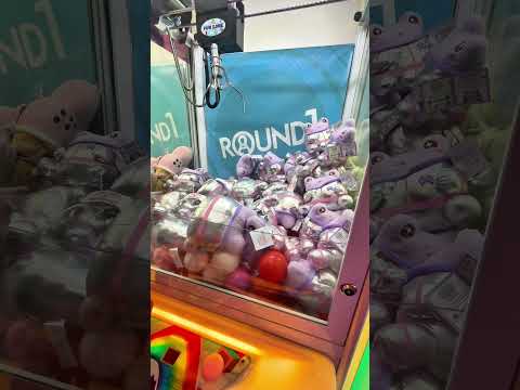 The Weirest Claw Machine Prizes Ever!