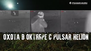 Охота с подхода с Pulsar Helion Охота с подхода с Pulsar Helion