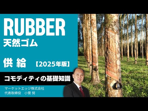 【２０２５年版】 天然ゴムの 基礎知識　その２ : 供給　with 小菅 努 先生