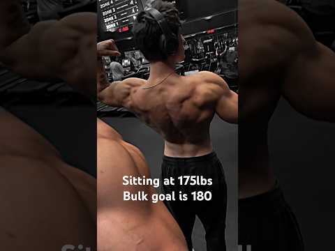 Bulk is going well