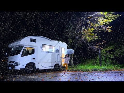 【大雨の車中泊】おでんで温まる寒い雨の夜｜楽しすぎる美術館｜キャンピングカー車中泊